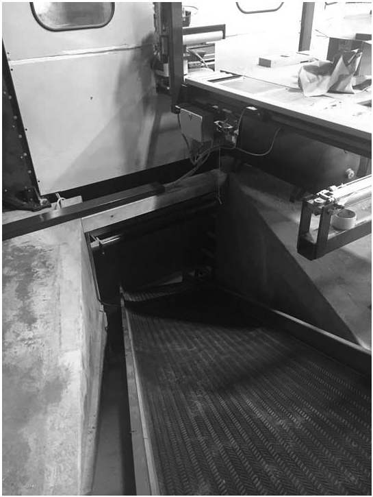 TROUGH BELT SYSTEM